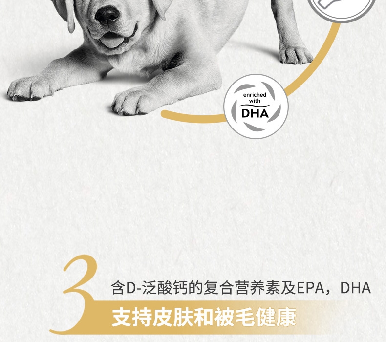 法国皇家ROYAL CANIN 拉布拉多成犬粮 3kg*4