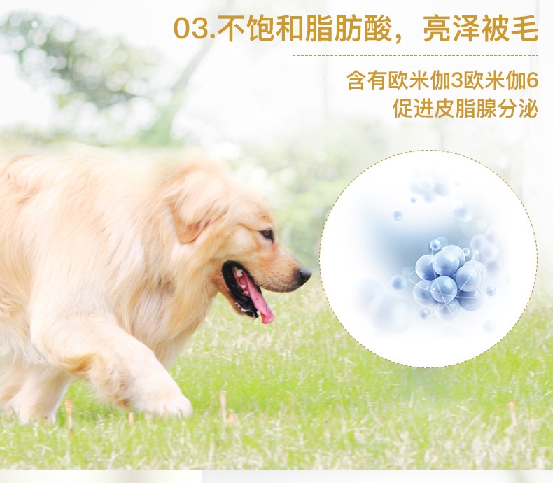 法国皇家ROYAL CANIN 金毛成犬粮 14kg(3.5kg*4) GR25