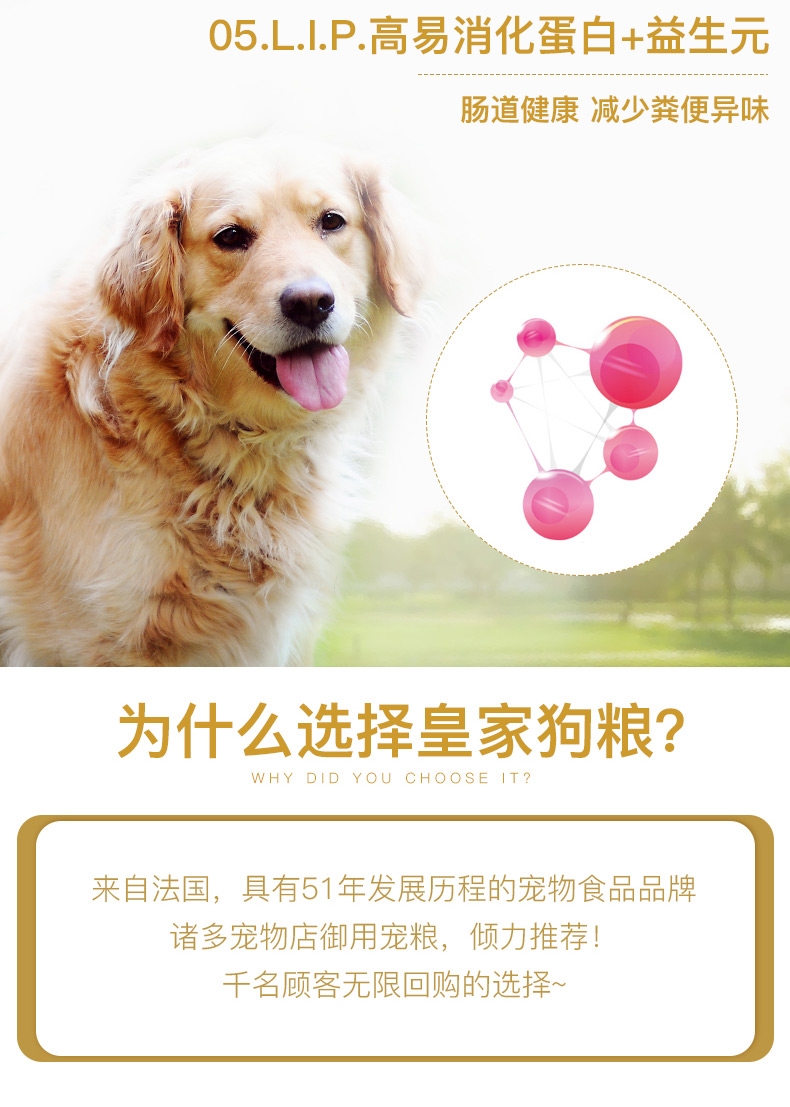 法国皇家ROYAL CANIN 金毛成犬粮 14kg(3.5kg*4) GR25