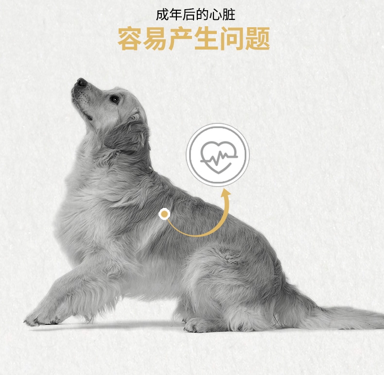 法国皇家ROYAL CANIN 金毛成犬粮 14kg(3.5kg*4)