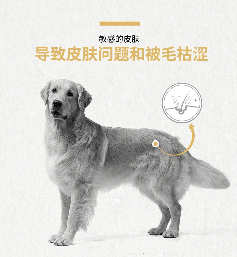 法国皇家ROYAL CANIN 金毛成犬粮 14kg(3.5kg*4)