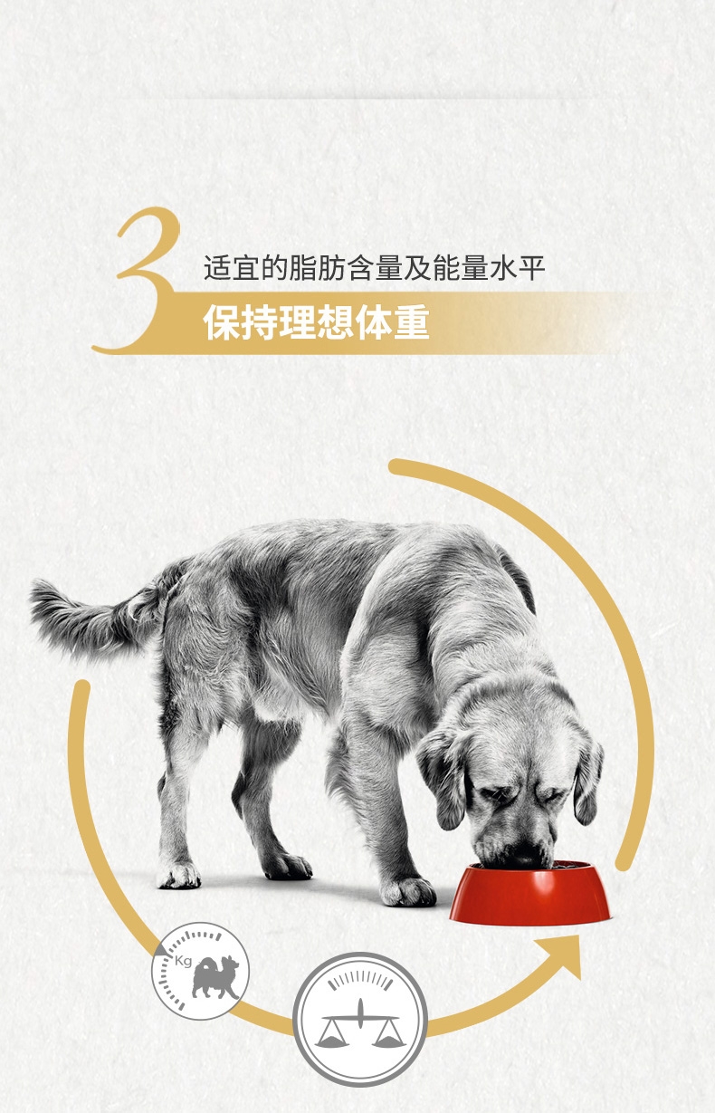 法国皇家ROYAL CANIN 金毛成犬粮 14kg(3.5kg*4)