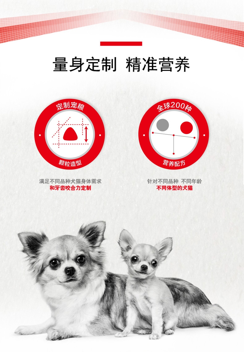 法国皇家ROYAL CANIN 金毛成犬粮 14kg(3.5kg*4)