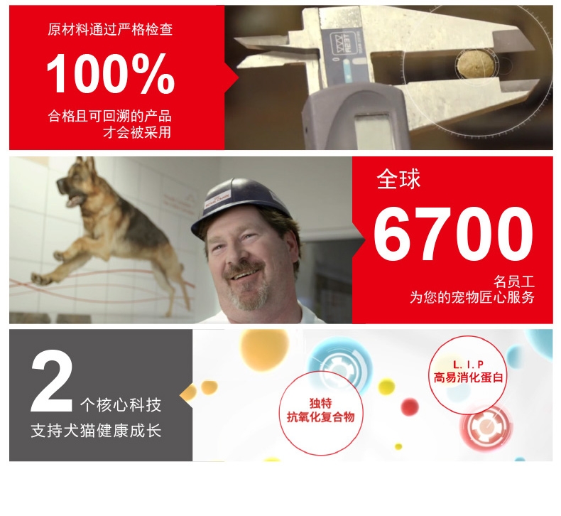 法国皇家ROYAL CANIN 金毛成犬粮 14kg(3.5kg*4)