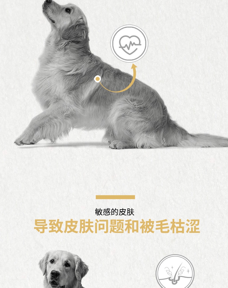 法国皇家Royal Canin 金毛成犬粮 14kg (3.5kg*4包)