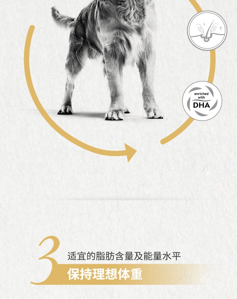 法国皇家Royal Canin 金毛成犬粮 14kg (3.5kg*4包)
