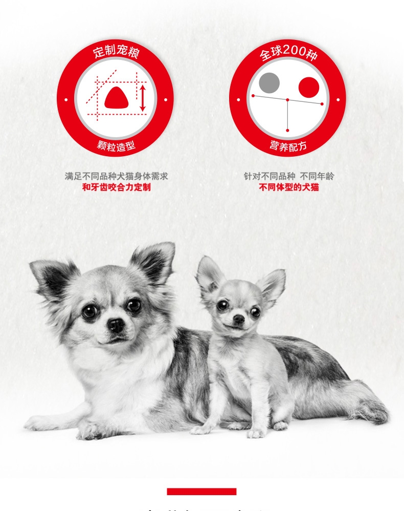 法国皇家Royal Canin 金毛成犬粮 14kg (3.5kg*4包)