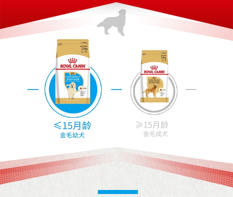 法国皇家ROYAL CANIN 金毛用幼犬粮 14kg(3.5kg*4)