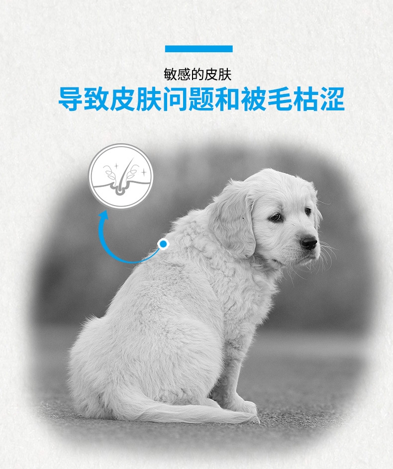 法国皇家ROYAL CANIN 金毛用幼犬粮 14kg(3.5kg*4)
