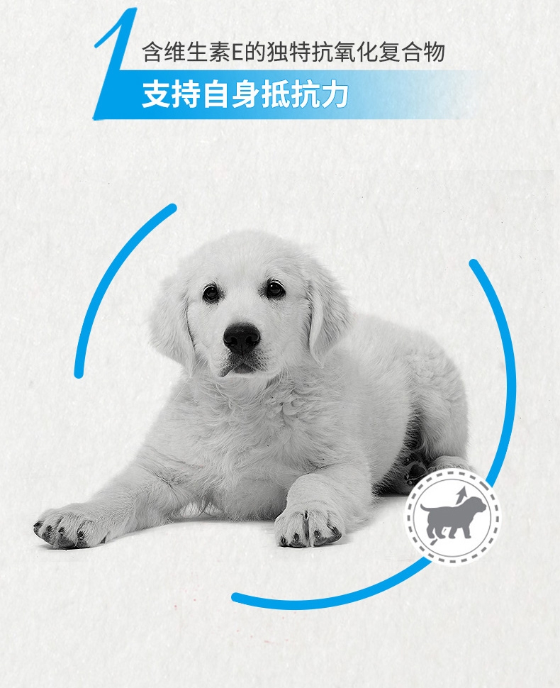 法国皇家ROYAL CANIN 金毛用幼犬粮 14kg(3.5kg*4)