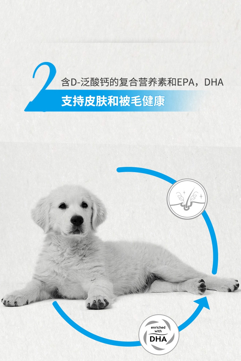 法国皇家ROYAL CANIN 金毛用幼犬粮 14kg(3.5kg*4)
