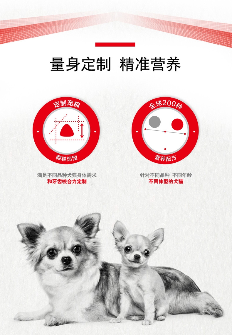 法国皇家ROYAL CANIN 金毛用幼犬粮 14kg(3.5kg*4)