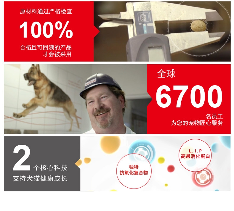 法国皇家ROYAL CANIN 金毛用幼犬粮 14kg(3.5kg*4)