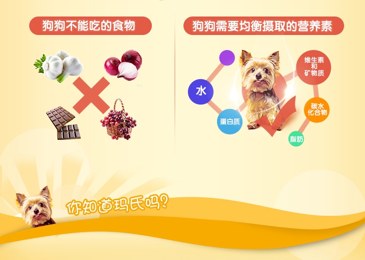 宝路Pedigree 精选鲜肝成犬妙鲜包湿粮包 100g
