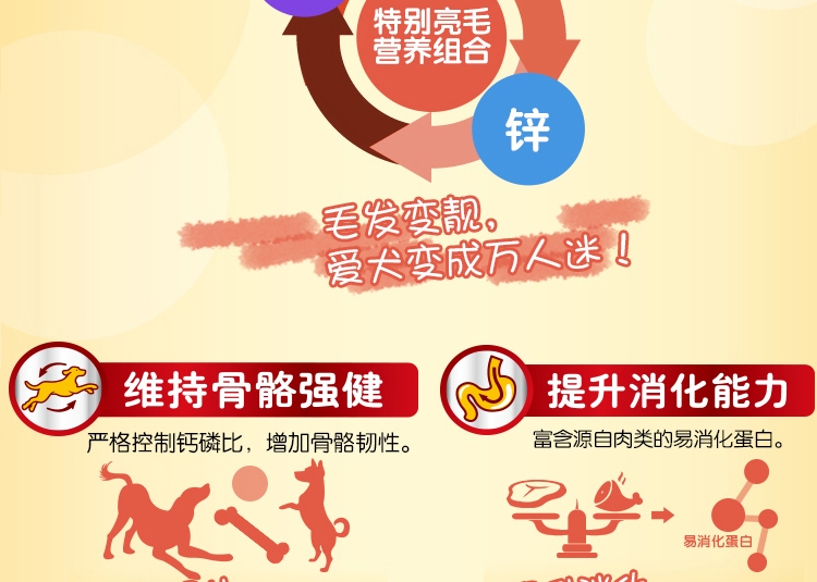 宝路 成犬鸡肉味妙鲜包100g 狗湿粮