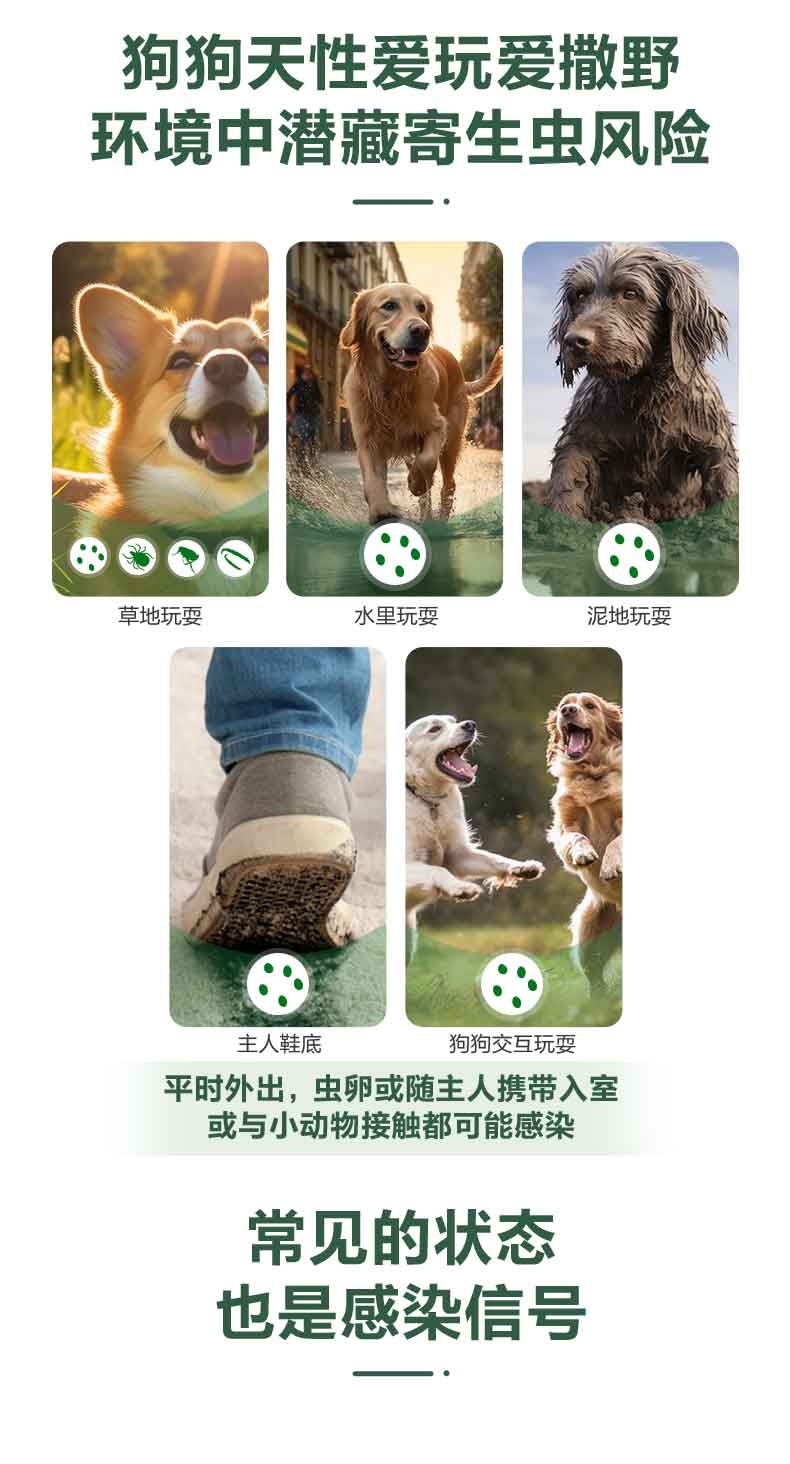 福来恩 犬用体外驱虫滴剂  大型犬20-40kg/单支 1个月剂量  法国进口