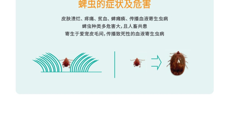 福来恩 犬猫灭蜱虫跳蚤喷剂250ml 猫狗体外驱虫药