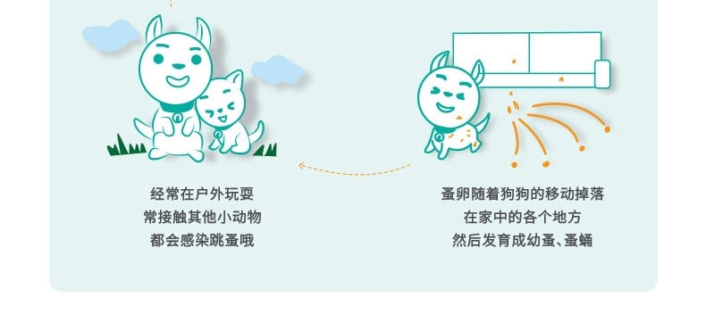 福来恩 20-40kg大型犬增效滴剂加强版(整盒3支装) 驱杀跳蚤蜱虫