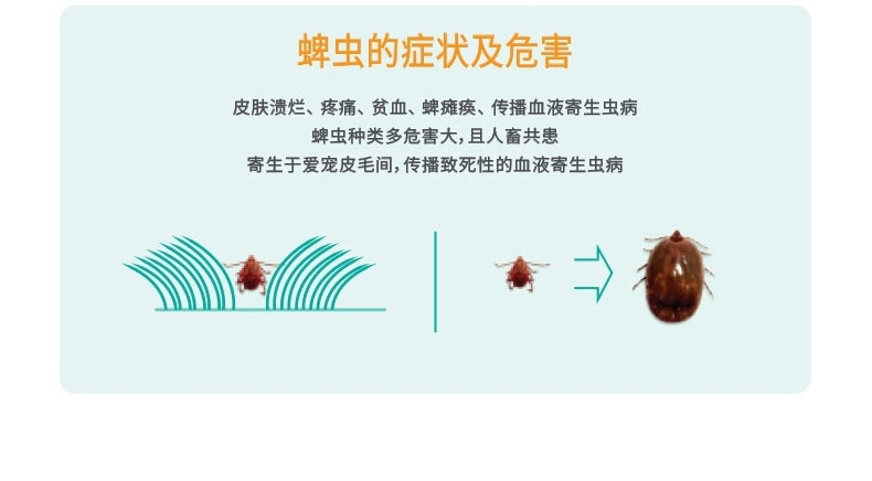 福来恩 20-40kg大型犬增效滴剂加强版(整盒3支装) 驱杀跳蚤蜱虫