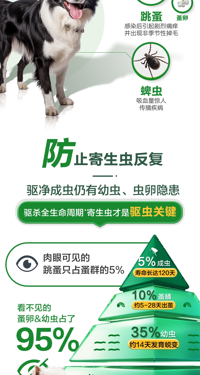 福来恩 犬用体外驱虫滴剂 大型犬20-40kg 3支盒装/3个月剂量 法国进口