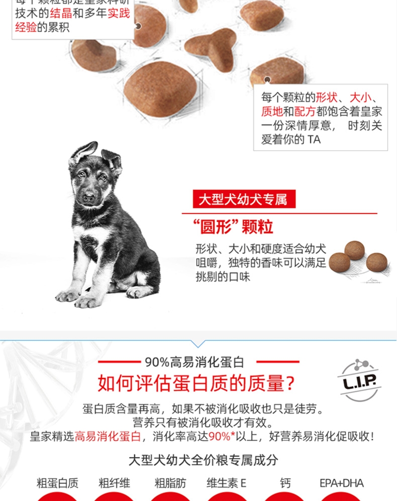 法国皇家Royal Canin 大型犬幼犬粮 15kg