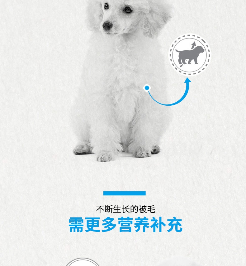 法国皇家ROYAL CANIN 贵宾幼犬粮专用狗粮3kg APD33