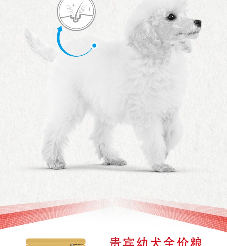 法国皇家ROYAL CANIN 贵宾幼犬粮专用狗粮3kg APD33