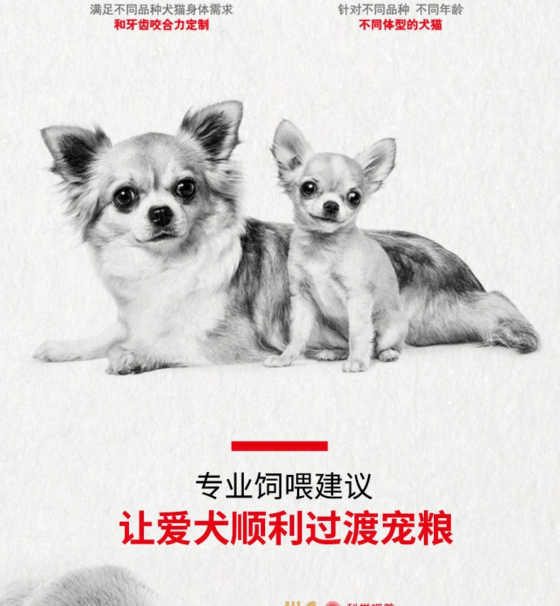 法国皇家ROYAL CANIN 贵宾幼犬粮专用狗粮3kg APD33