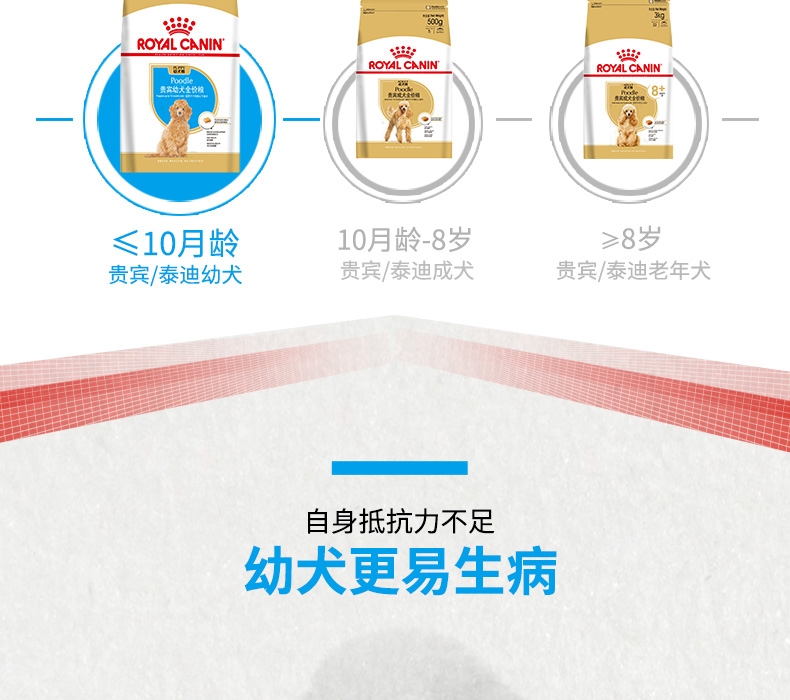 法国皇家Royal Canin 泰迪贵宾幼犬粮 3kg APd33