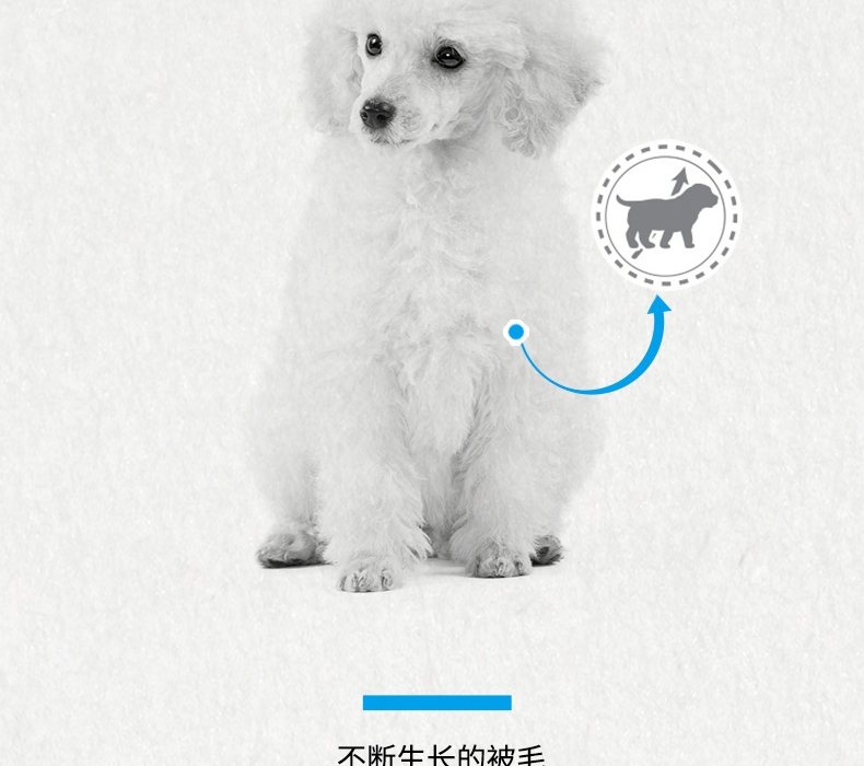 法国皇家Royal Canin 泰迪贵宾幼犬粮 3kg APd33