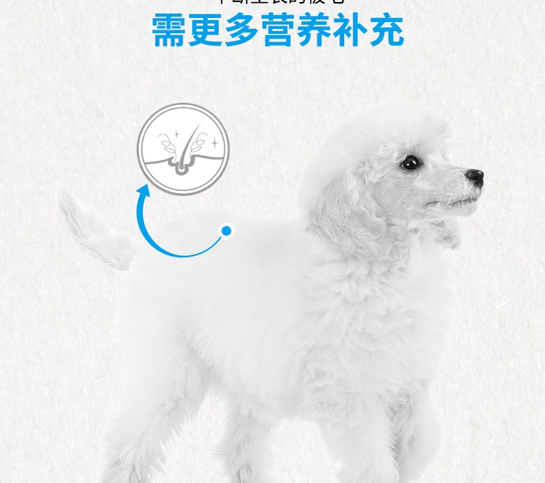 法国皇家Royal Canin 泰迪贵宾幼犬粮 3kg APd33
