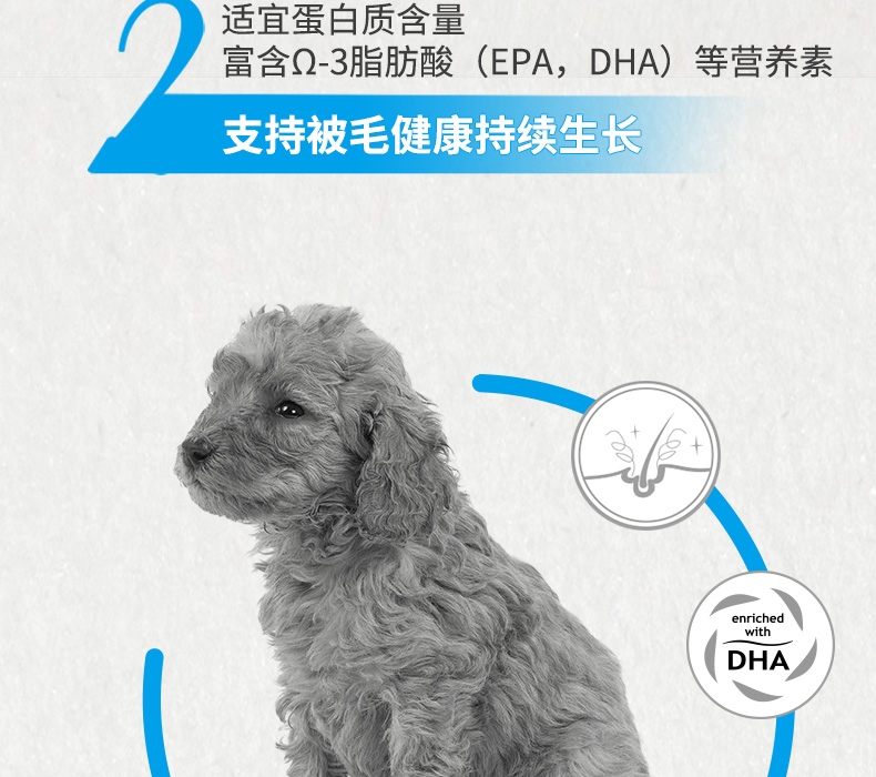 法国皇家Royal Canin 泰迪贵宾幼犬粮 3kg APd33