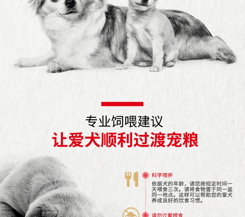 法国皇家Royal Canin 泰迪贵宾幼犬粮 3kg APd33
