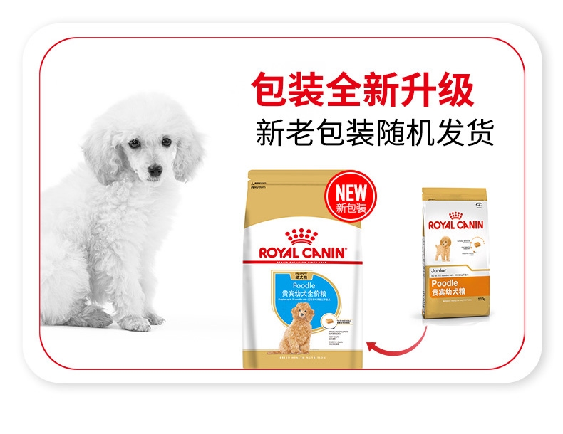 法国皇家Royal Canin 泰迪贵宾幼犬粮 3kg APd33