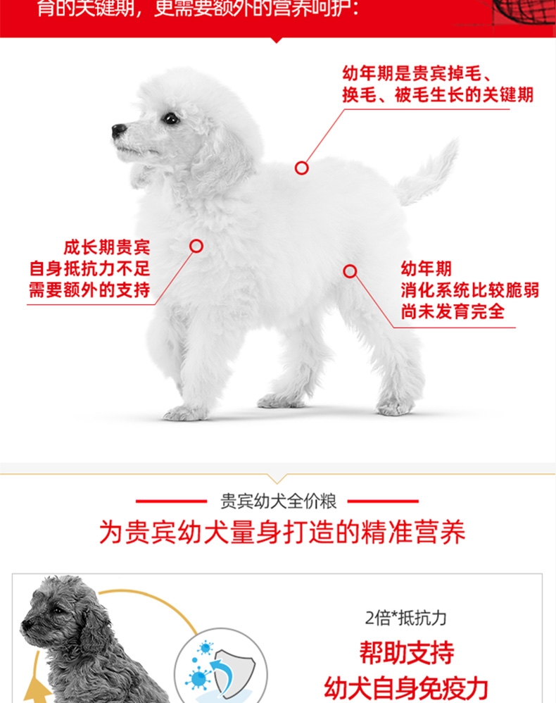 法国皇家Royal Canin 泰迪贵宾幼犬粮 3kg APd33
