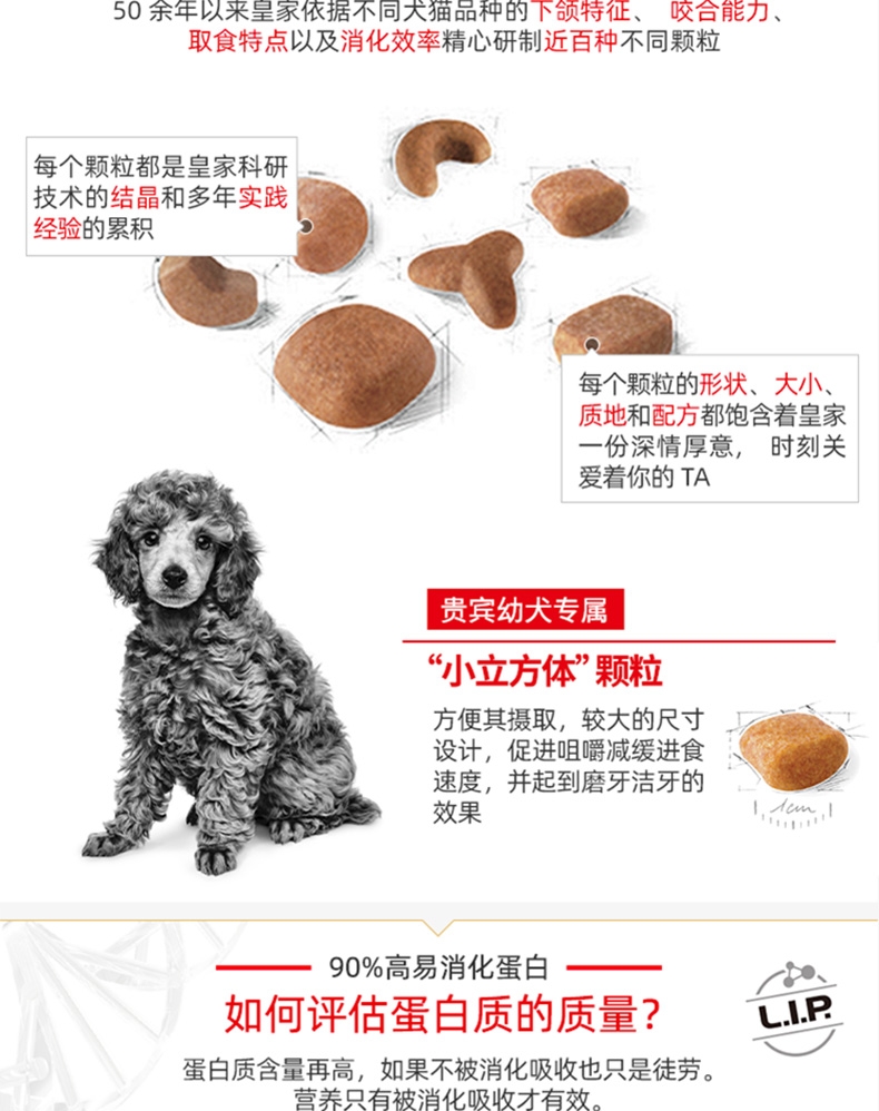 法国皇家Royal Canin 泰迪贵宾幼犬粮 3kg APd33