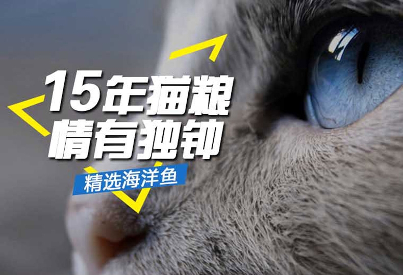 珍宝 成猫粮精选海洋鱼猫粮500g 明亮眼睛