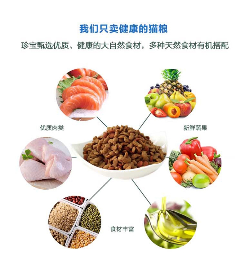 珍宝 成猫粮精选海洋鱼猫粮500g 明亮眼睛