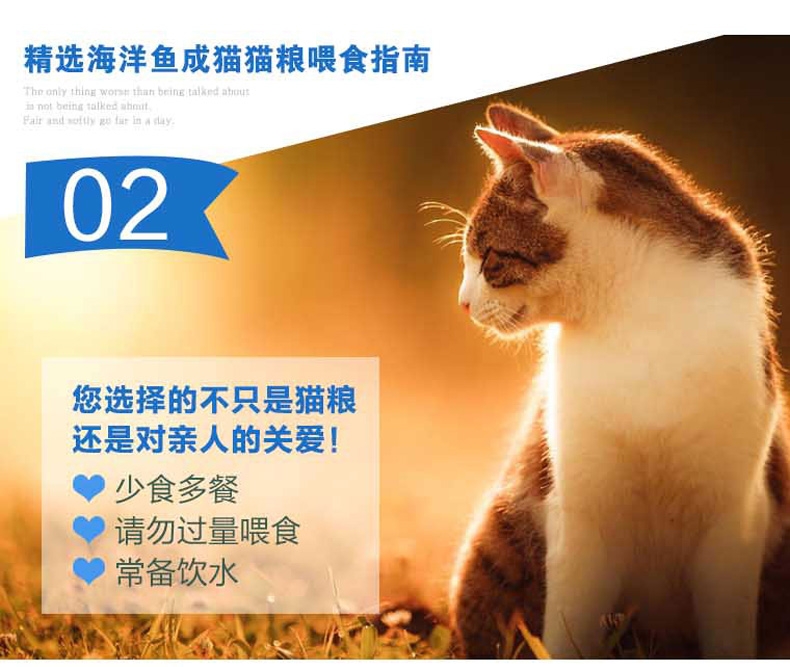 珍宝 成猫粮精选海洋鱼猫粮500g 明亮眼睛