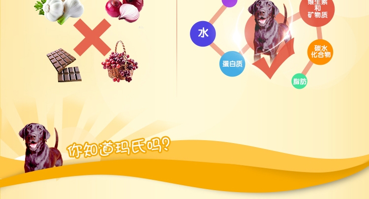 宝路Pedigree 倍亮宝毛发强韧亮泽磨牙棒狗零食 75g
