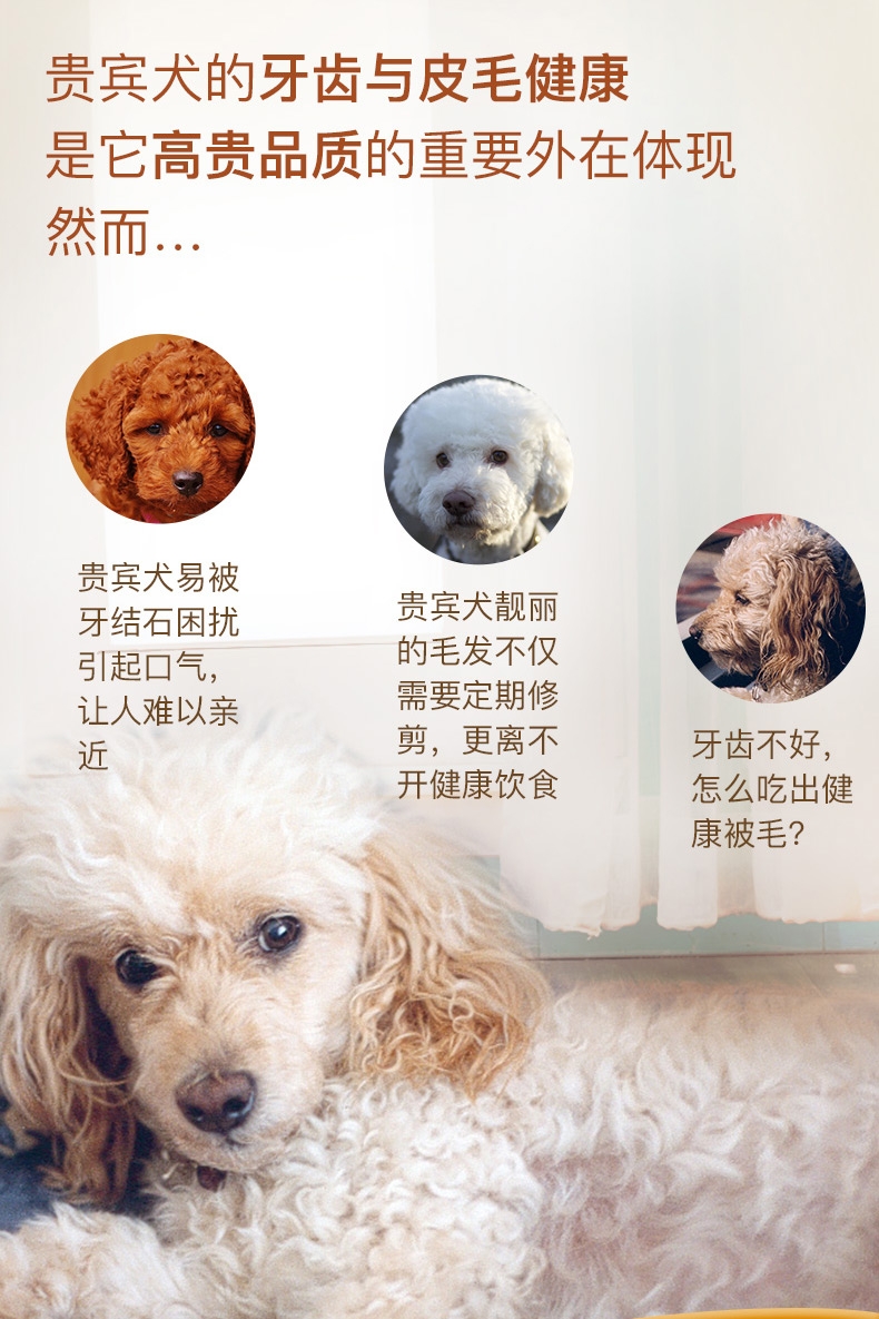 法国皇家ROYAL CANIN 泰迪贵宾成犬粮专用狗粮3kg PD30