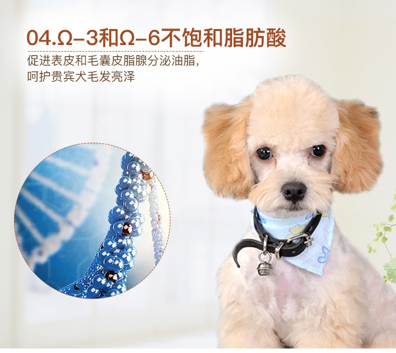 法国皇家ROYAL CANIN 泰迪贵宾成犬粮专用狗粮3kg PD30