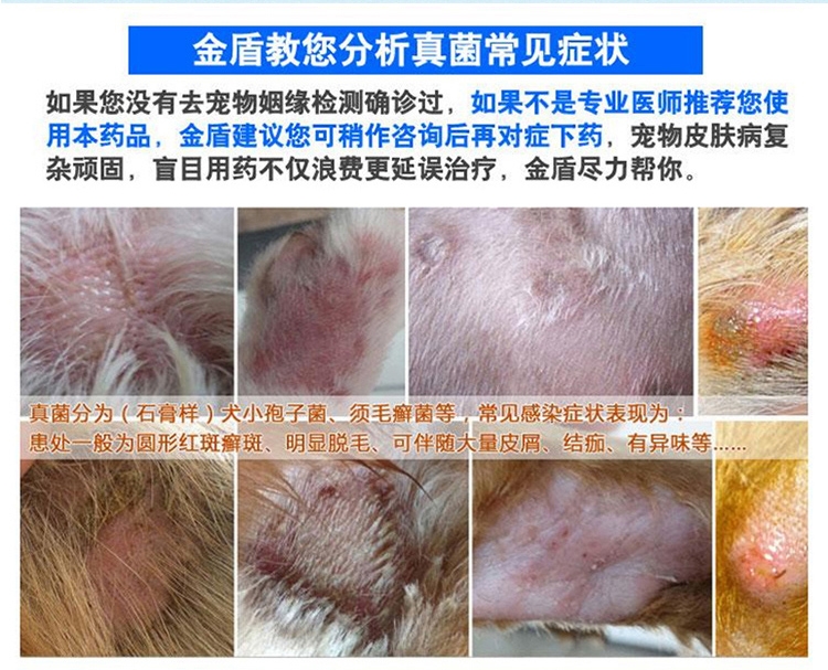 金盾 宠物消炎杀螨膏20g 治疗猫狗蠕形螨疥螨细菌真菌皮肤病
