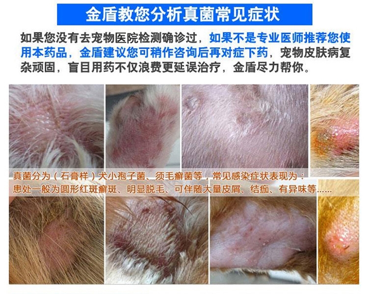 金盾 宠物消炎杀螨膏20g 治疗猫狗蠕形螨疥螨细菌真菌皮肤病