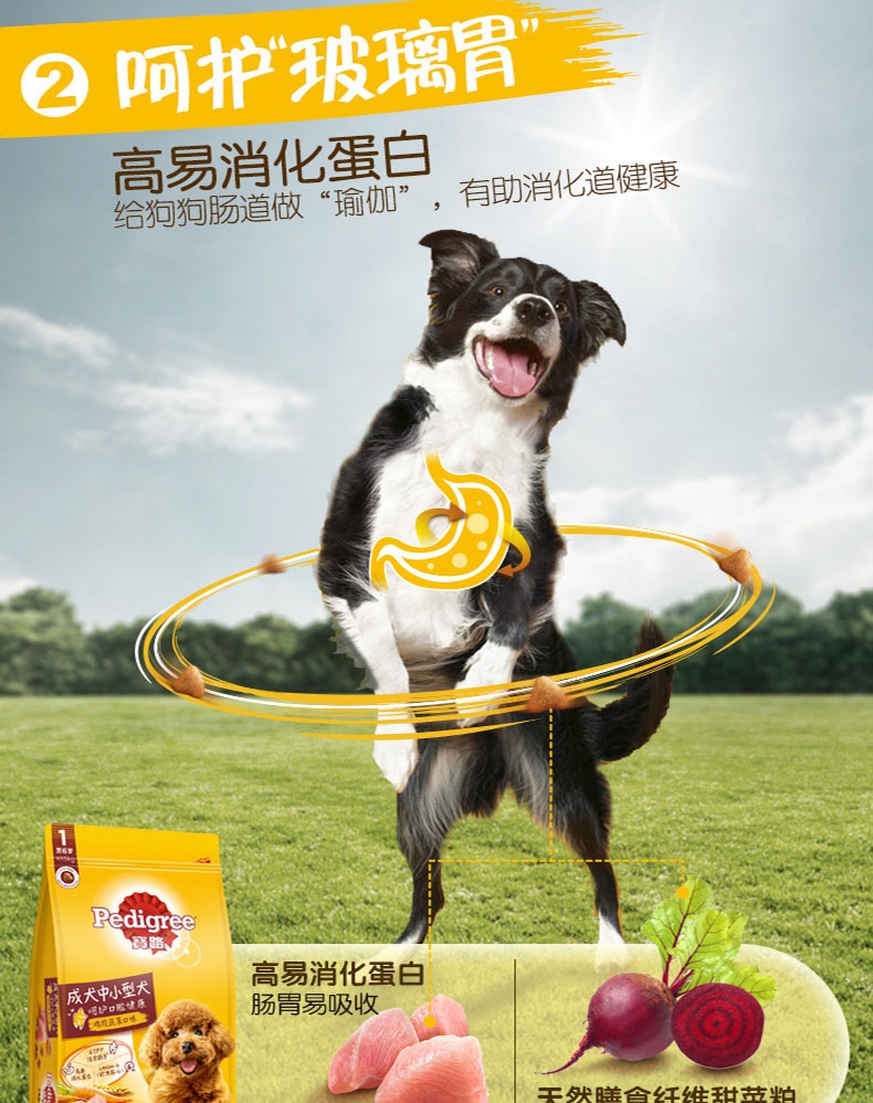 宝路Pedigree 鸡肉蔬菜口味中小型犬成犬粮 1.8kg