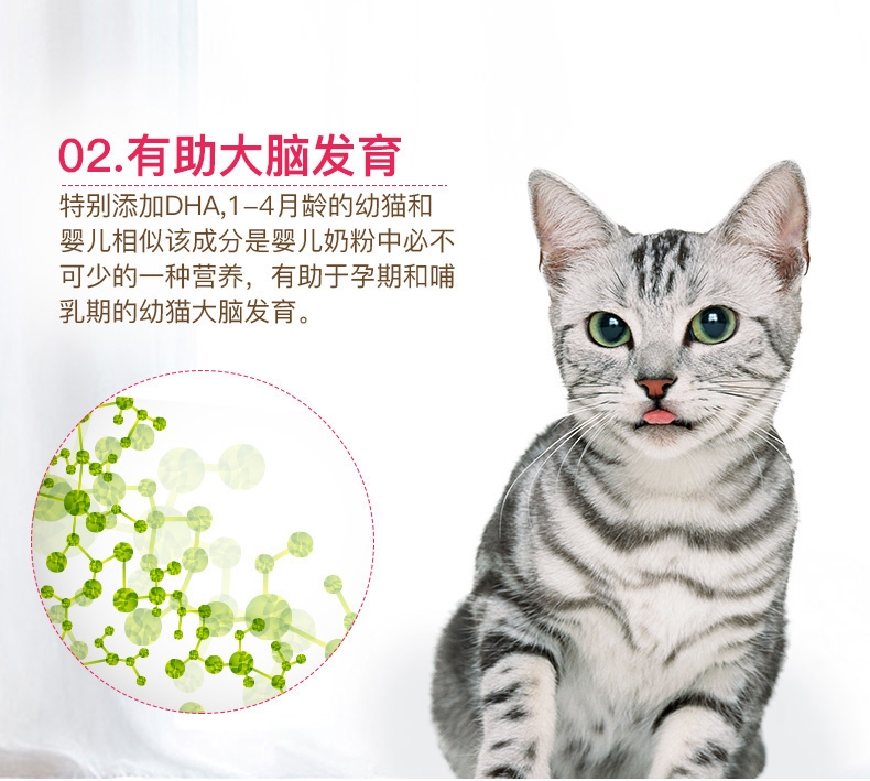 法国皇家ROYAL CANIN 1-4个月幼猫奶糕400g BK34