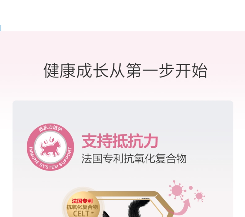 法国皇家ROYAL CANIN 1-4个月幼猫奶糕400g BK34
