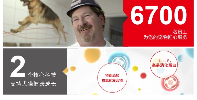 法国皇家ROYAL CANIN 1-4个月幼猫奶糕400g BK34
