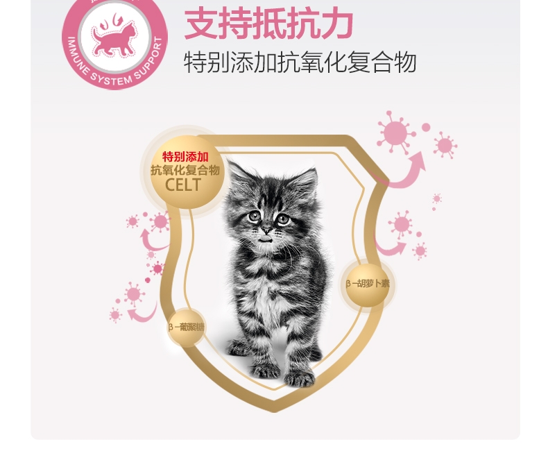 法国皇家Royal Canin 1-4个月幼猫奶糕粮 400g BK34