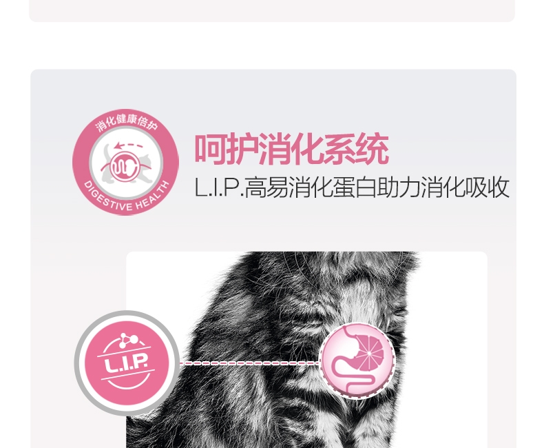 法国皇家Royal Canin 1-4个月幼猫奶糕粮 400g BK34